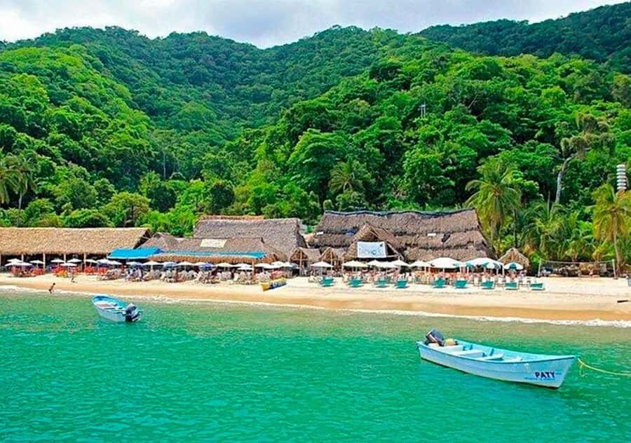 Puerto Vallarta: Arcos, Animas, Quimixto + Open Bar Onboard - Snorkeling at Los Arcos: Vibrant Marine Life in a Marine Preserve