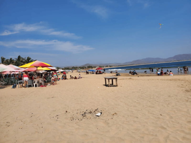 Puerto Vallarta: Beach Tour Experience - A Breakdown of the Experience