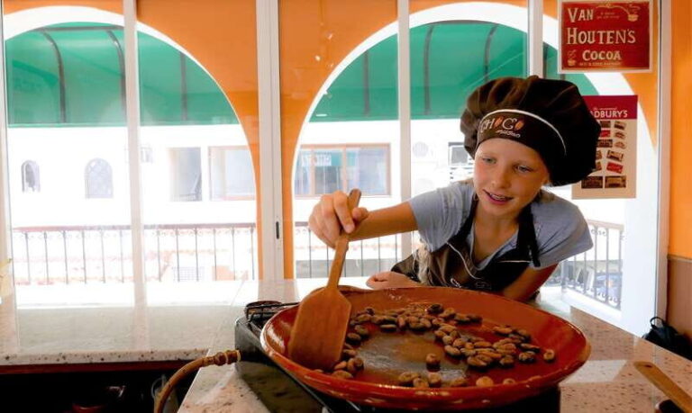 Puerto Vallarta: Bean to Bar Chocolate Workshop - The Value of This Workshop