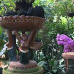 Puerto Vallarta Botanical Garden Tour with University Biologist - Authenticity and Value