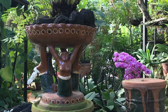Puerto Vallarta Botanical Garden Tour with University Biologist - Authenticity and Value