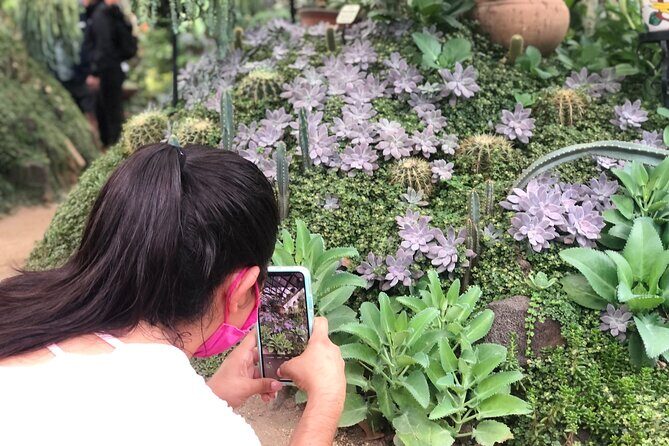Puerto Vallarta Botanical Gardens Hiking Tour - Who Is This Tour Best For?