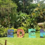 Puerto Vallarta: City & Jungle Tour - A Complete Look at the Itinerary