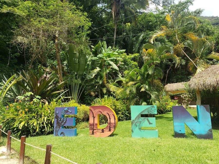 Puerto Vallarta: City & Jungle Tour - A Complete Look at the Itinerary