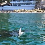 Puerto Vallarta City Tour By The Sea aboard Bruna - Is It Worth the Price?