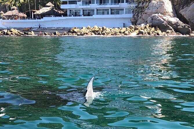 Puerto Vallarta City Tour By The Sea aboard Bruna - Is It Worth the Price?