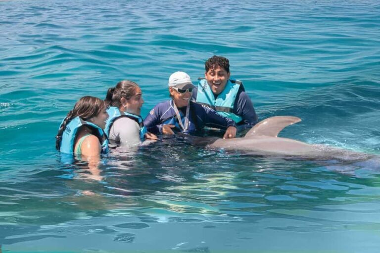 Puerto Vallarta: Dolphin Royal Connection & Water Park Pass - Practical Details and Tips