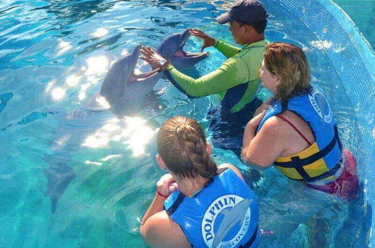 Puerto Vallarta: Dolphin Royal Swim at Aquaventuras Park - FAQ