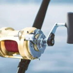 Puerto Vallarta: Fishing Cachi I 28 - What to Expect During Your Trip