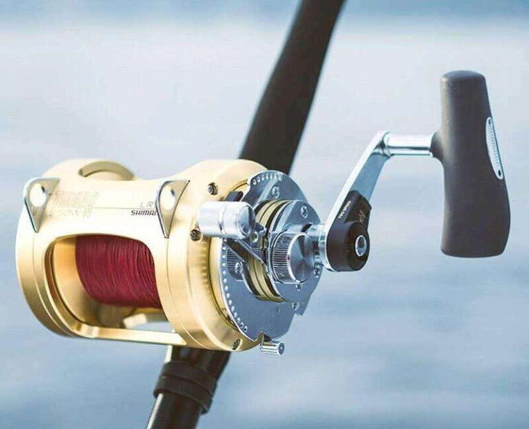 Puerto Vallarta: Fishing Cachi I 28 - What to Expect During Your Trip