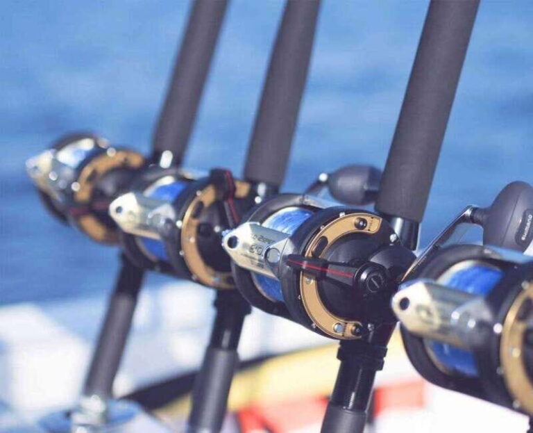 Puerto Vallarta: Fishing Pami I 27 - Who This Tour Is Best For