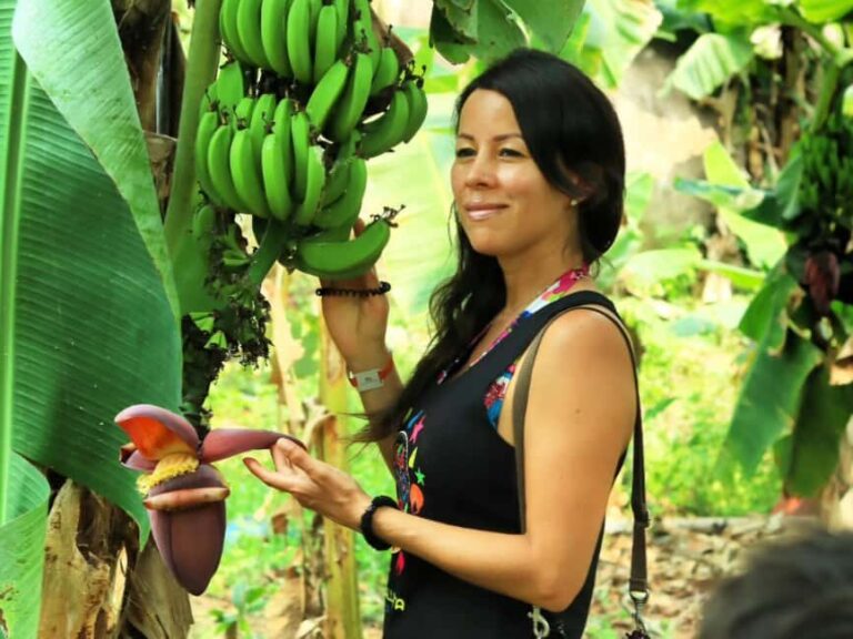 Puerto Vallarta: Hands-on Farm Experience from Cow to Cheese - What to Expect from the Tour