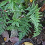 Puerto Vallarta: Hidden Beaches and Sea Adventures - The Experience from a Traveler’s Perspective