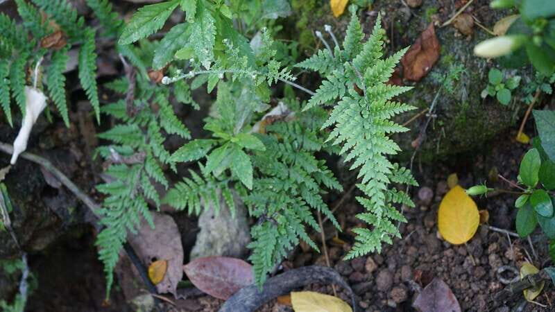 Puerto Vallarta: Hidden Beaches and Sea Adventures - The Experience from a Traveler’s Perspective