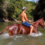 Puerto Vallarta Horseback Riding - The Ride in Detail: What Makes It Special