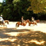 Puerto Vallarta: Horseback Riding at Hacienda Doña Engracia - The Practicalities