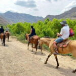 Puerto Vallarta: Horseback Riding, Lunch & Unlimited Drinks - Why This Tour Offers Great Value