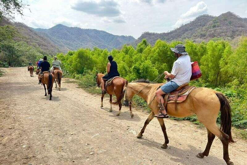 Puerto Vallarta: Horseback Riding, Lunch & Unlimited Drinks - Why This Tour Offers Great Value