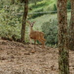 Puerto Vallarta: Jorullo Paradise Hiking Adventure - Final Thoughts: Who Will Love This Adventure?