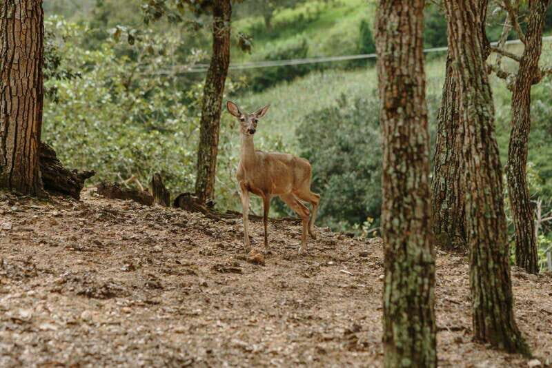 Puerto Vallarta: Jorullo Paradise Hiking Adventure - Final Thoughts: Who Will Love This Adventure?