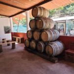 Puerto Vallarta: Oceanfront Lunch, Hike, Tequila & Beach Day - The Scenic Town Walk and Optional Zip-Line