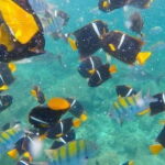 Puerto Vallarta: Pirate Ship Adventure - The Value for Your Money