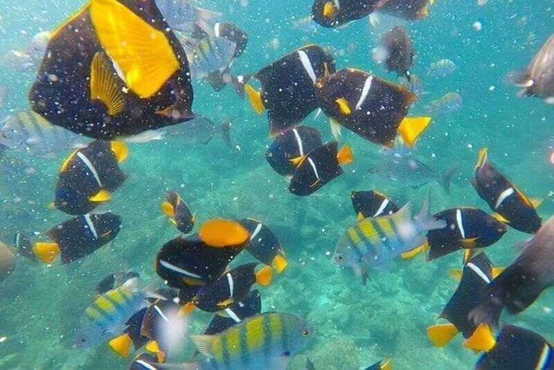 Puerto Vallarta: Pirate Ship Adventure - The Value for Your Money