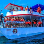 Puerto Vallarta: Predator Catamaran Adventure - Final Thoughts