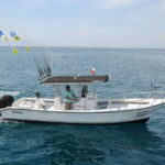 Puerto Vallarta: Private Ocean Adventure - Analyzing the Value