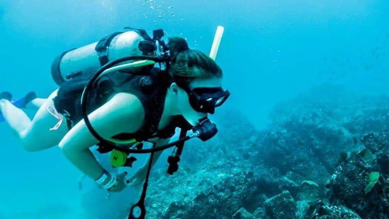 Puerto Vallarta: Scuba Dive at Los Arcos - The Marine Life and Underwater Features