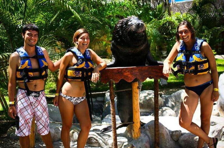 Puerto Vallarta: Sea Lion Discovery at Aquaventuras Park - The Sum Up