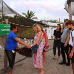 Puerto Vallarta: Sea turtle release at Sunset - Value and Practicalities