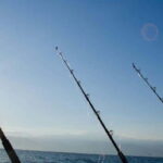 Puerto Vallarta: Shared Fishing - Deep Dive into the Itinerary