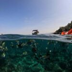 Puerto Vallarta: Snorkel With Tropical Fishes & Canopy Tour - The Logistics: What to Expect