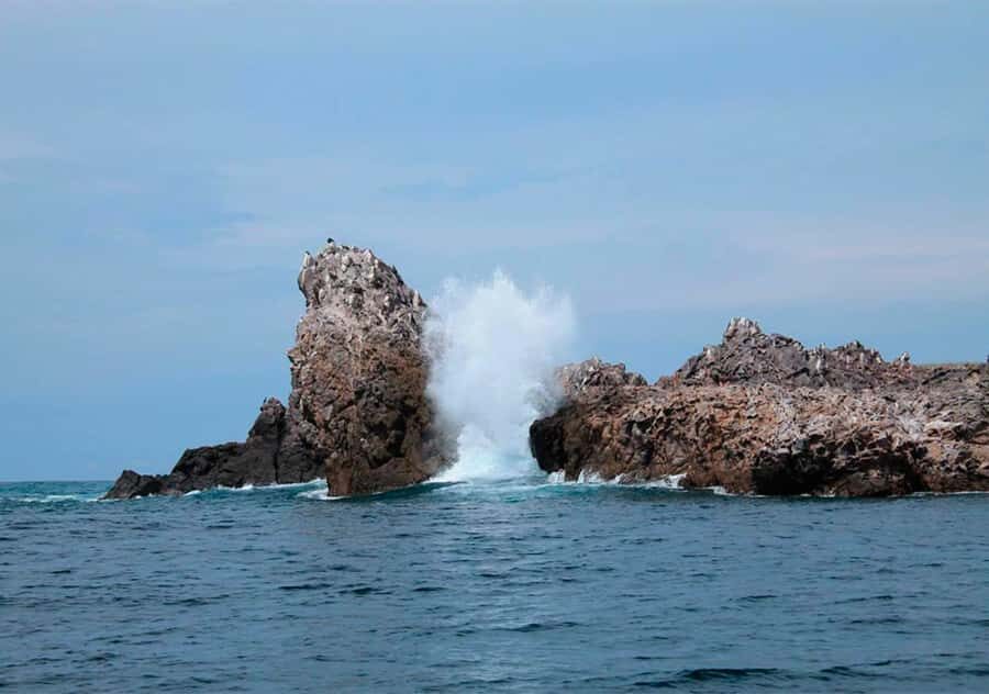 Puerto Vallarta: Snorkeling, Beach, Sailing to Marietas Park - Who Will Love This Tour?