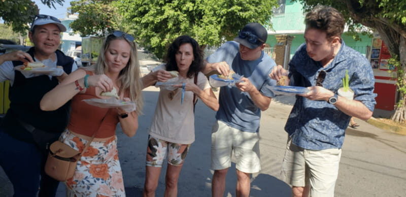 Puerto Vallarta: Taco Tour and Tequila Experience - Exploring Agave Fields and the Distillery Magic