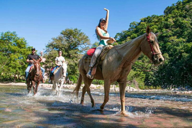 Puerto Vallarta: Tropical Forest Horseback Riding Adventure - Who Is This Tour Best For?