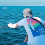 Puerto Vallarta: Whale Watching All Inclusive Experience - Who Will Love This Tour?