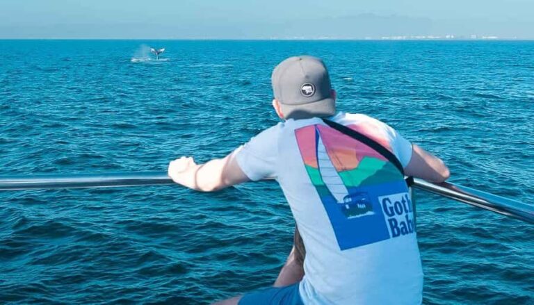 Puerto Vallarta: Whale Watching All Inclusive Experience - Who Will Love This Tour?