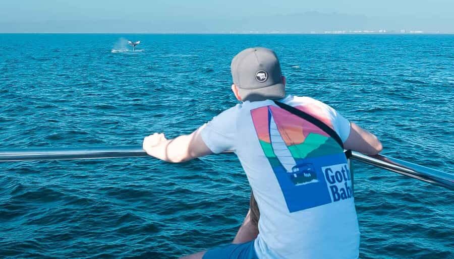 Puerto Vallarta: Whale Watching All Inclusive Experience - Who Will Love This Tour?