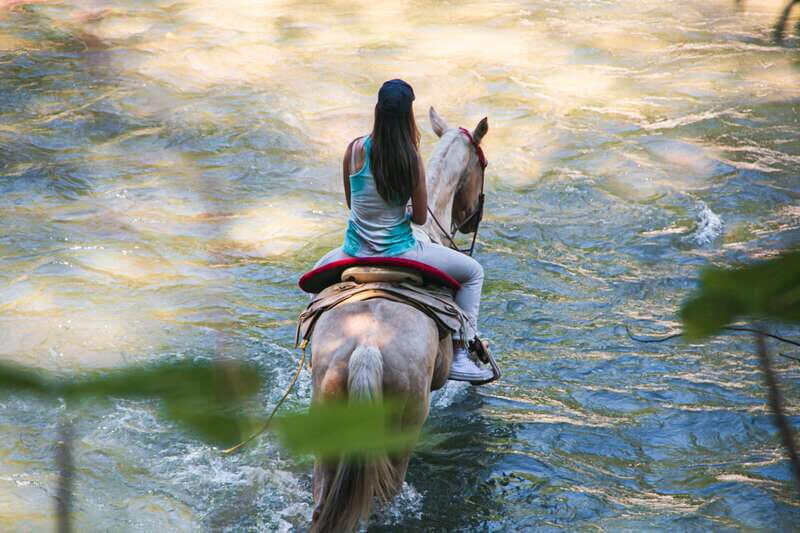 Puerto Vallarta: Wild Tour Horseback Adventure - Who Should Consider This Tour?