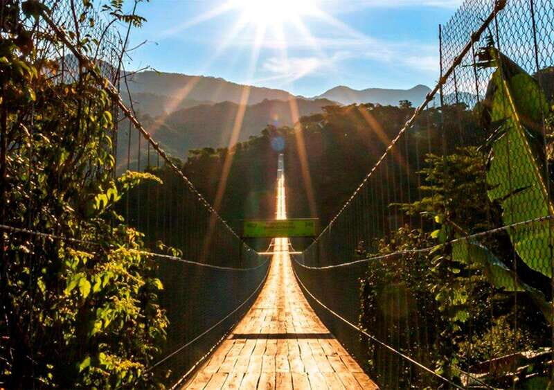 Puerto Vallarta: ZipLine + Jorullo Bridge Pass + Mule Ride - Authentic Experiences and Traveler Feedback