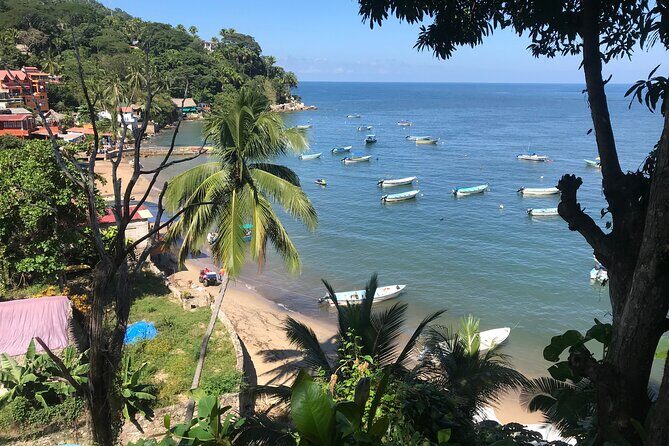 Puerto Vallarta's Yelapa Boat & Walking Tour with Tequila Tasting - The Tequila Tasting and Cultural Experience