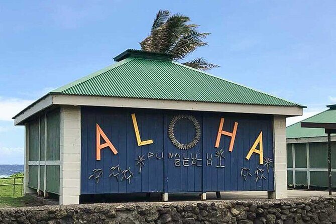 Punaluu Black Sand Beach Tour - Volcanoes National Park & Hilo - What Travelers Can Expect