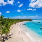 Punta Cana: Saona Island Full-Day Open Bar, Lunch & Transfer - The Plus: Premium and VIP Options