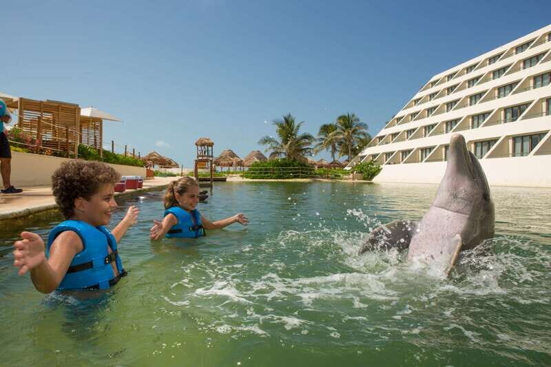 Punta Cancun: Swim with dolphins Harmony - Who Should Consider This Tour?