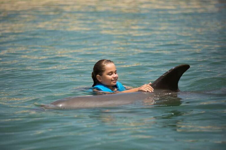Punta Cancun: Swim with dolphins Interax - The Experience Itself