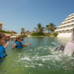 Punta Cancun: Swim with dolphins Primax - The Sum Up