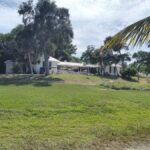 Punta Gorda: Boat tour to Cabbage Key and beaches. - Authentic Experiences and Practical Insights