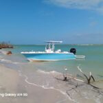 Punta Gorda/Boca Grande: Cayo Costa State Park Boat Tour - Why You Should Consider This Tour